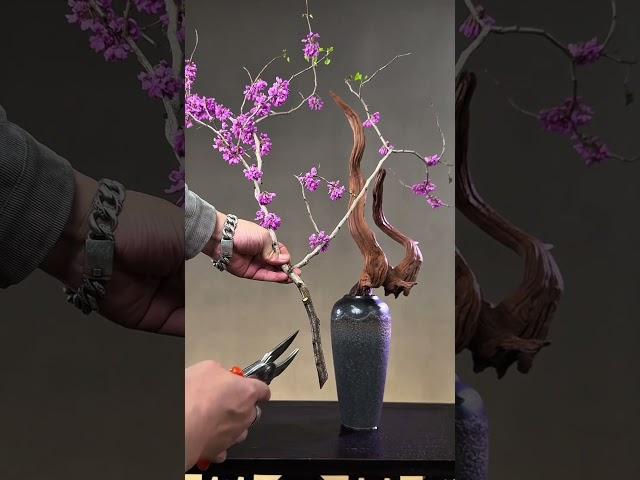 紫荆与沉木中式插花 瓶花教程#插花 ##东方插花 #宋代