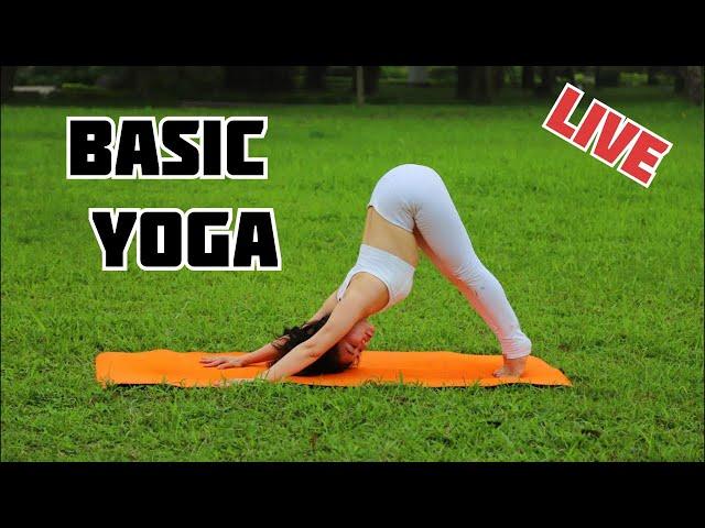 Live Session - Basic Yoga - Yoga For Beginners || Yoga With Sandeep || Vietnam