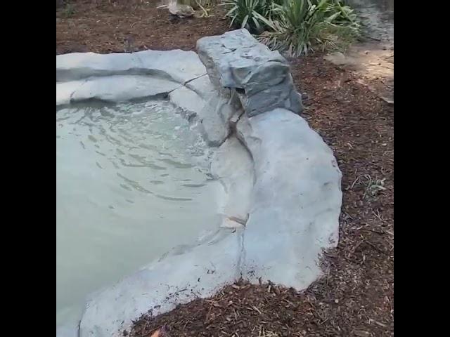 Final walk-through video on a custom carved concrete Recreation swim pond in Virginia Beach