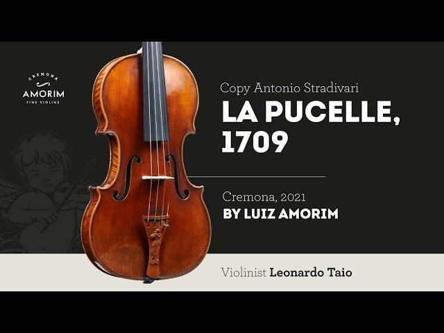 Violin by Luiz Amorim, copy of Antonio Stradivari, La Pucelle, 1709