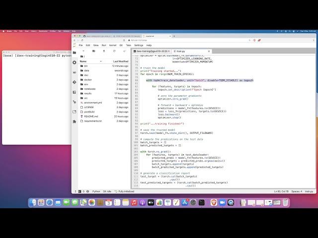 How to launch a PyTorch training job on Ibex