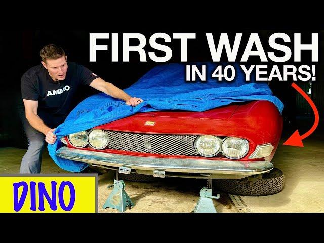 First Wash in 40 Years: RARE Fiat Dino Moldy Disaster Detail!