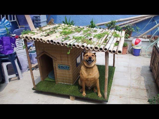 Stylish Indoor Dog Houses That Any Pooch Will Fall In Love With