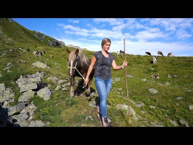 Montafon.TV - HOJA. Ein Alpsommer im Montafon