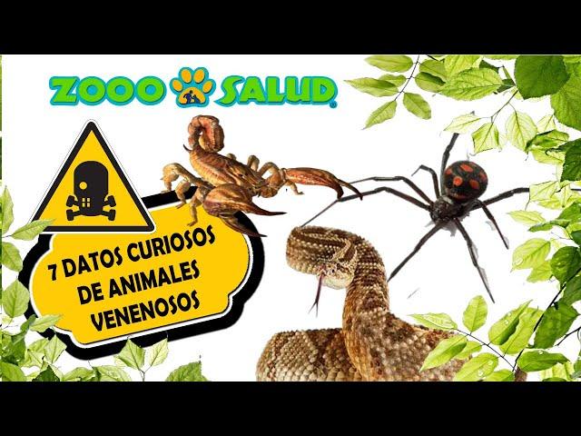 7 Datos Curiosos de Animales Venenosos