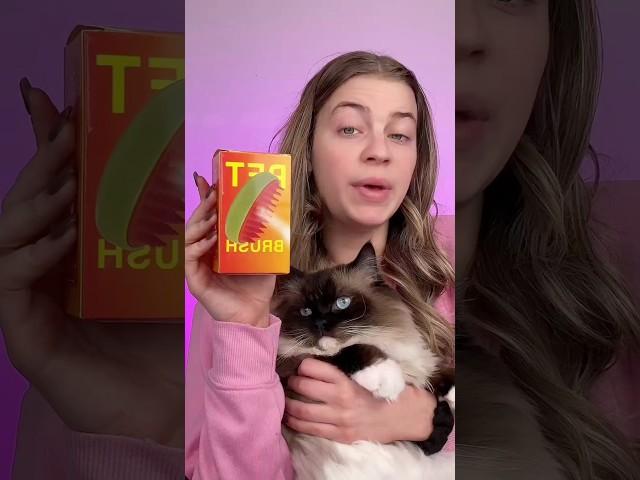 STEAMING CAT BRUSH CURES MY SON *epic*