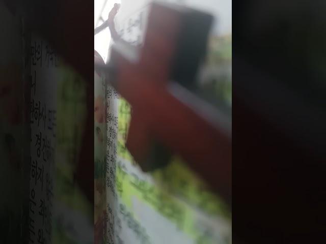 집중