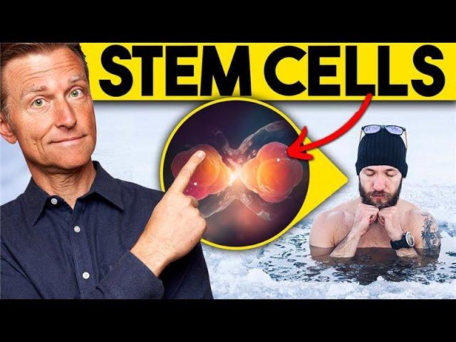 Regenerate Your Stem Cells