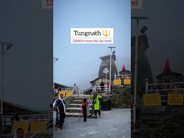 World Highest Shiva Temple ️ | Tungnath | Chandrashila | Har Har Mahadev ️