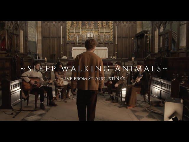 Wild Folk (Live at St. Augustine's) - Sleep Walking Animals