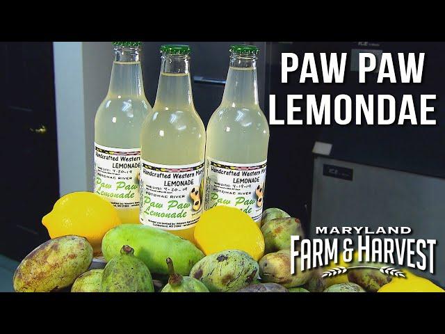 Growing Paw Paws for Lemonade! | Maryland Farm & Harvest