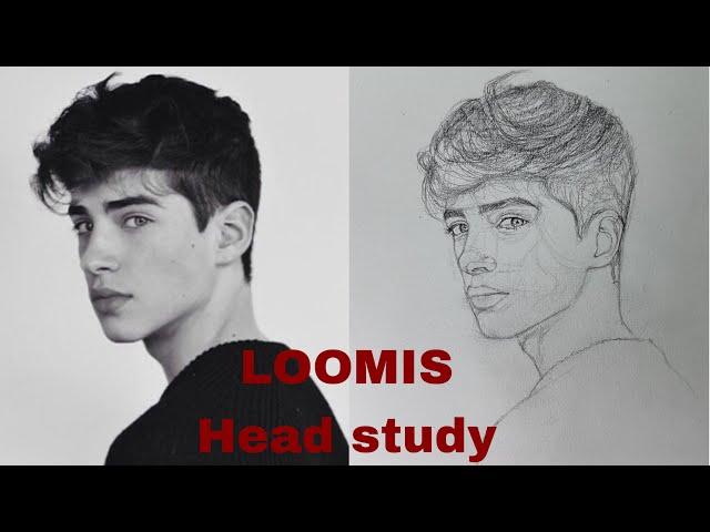 How to draw a portrait using Loomis method| loomis head study