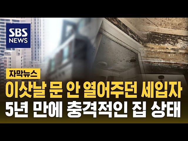 이삿날 문 안 열어주던 세입자…5년 만에 충격적인 집 상태 (자막뉴스) / SBS