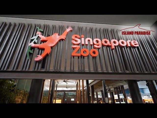 Singapore Zoo Full Tour of Every Enclosure