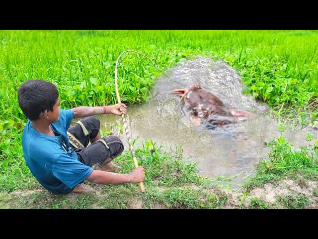 Amazing Fishing Video  Village Smart Boy Fishing With Hook ~Traditional Hook Fishing ~ РыбалкаВидео