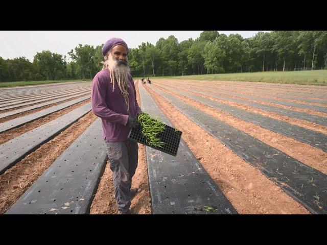 Preview: Maryland Farm & Harvest 1108