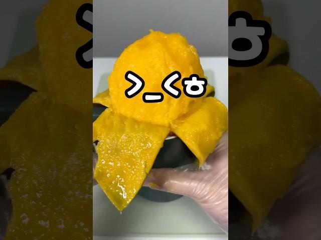 애플망고 여러가지 모양내는 방법 (ft.꿀팁)