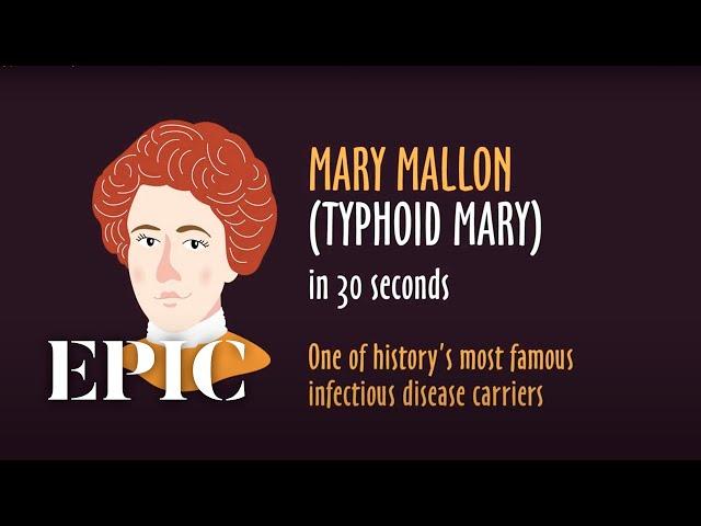 Typhoid Mary - EPIC Stories in 30 seconds