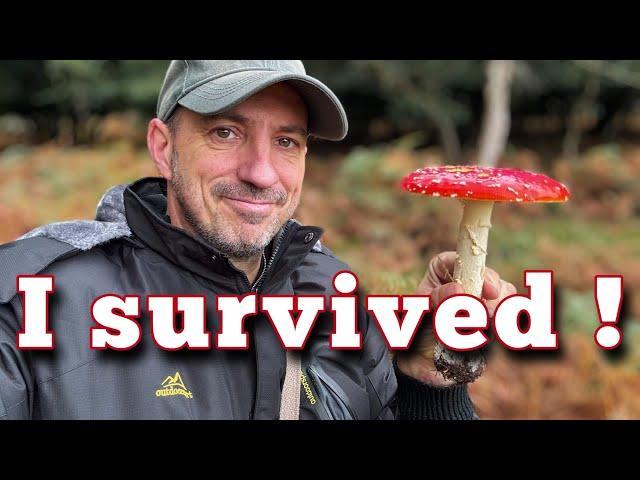 How I foraged forest mushrooms and survived !!