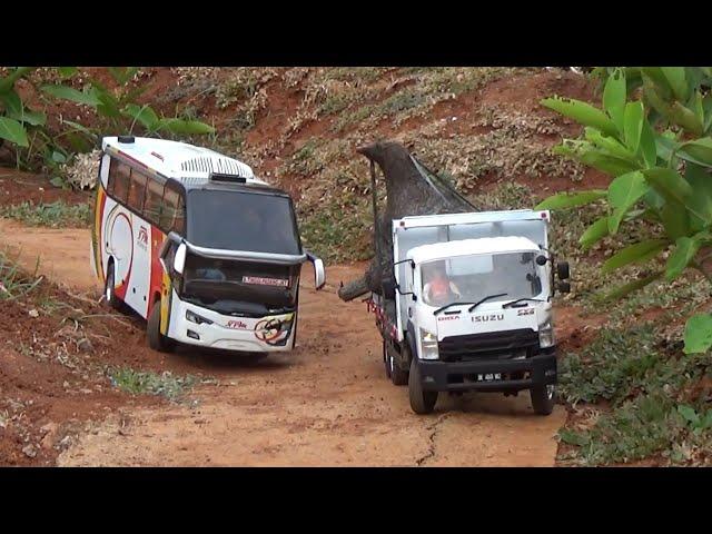 TRUK BAWA KAYU ILEGAL UGAL UGALAN DIJALAN - VERSI MINIATUR TRUK RC - AZZAM TUBEHD