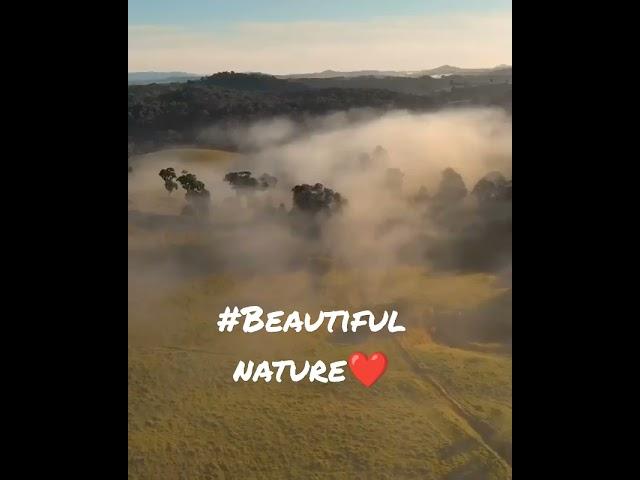 #Love nature️