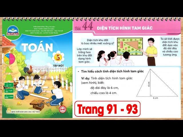 Toán lớp 5 chân trời sáng tạo bài 44 Diện tích hình tam giác