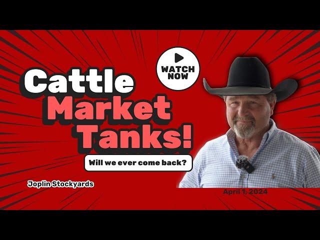 Downward Spiral: Cattle Market Plummets!