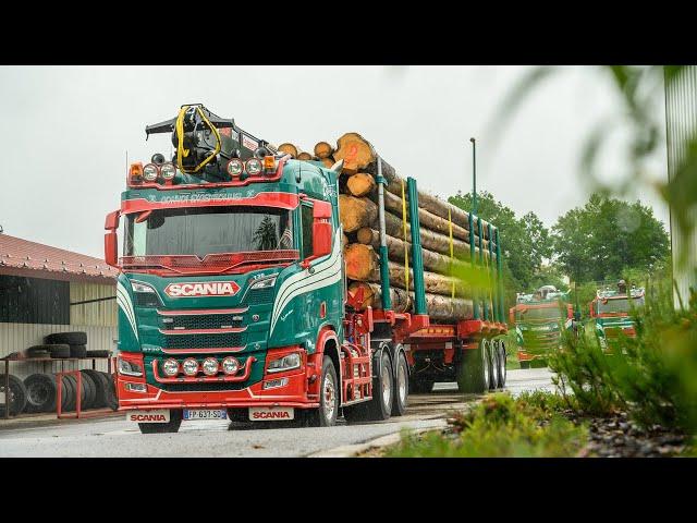 SCANIA R730 V8 NEXTGEN  GRUMIER FRIEDERICH (TRANSPORTS VINCENT SIMON)