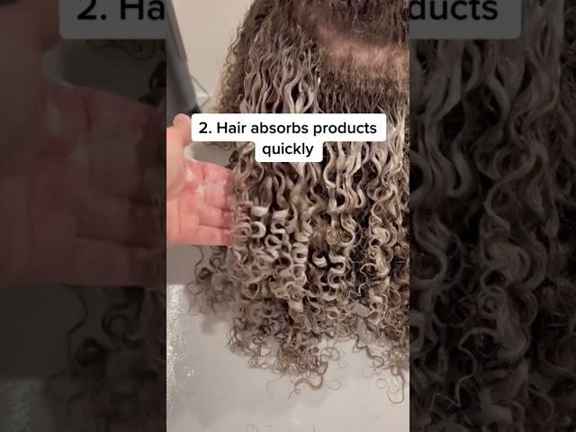 5 SIGNS YOU HAVE HIGH POROSITY HAIR #curlyhair #hairtips #hairporosity #highporosity