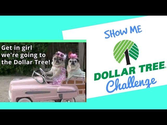 Show me Dollar Tree Challenge Hosted by Bum Bea DIY's