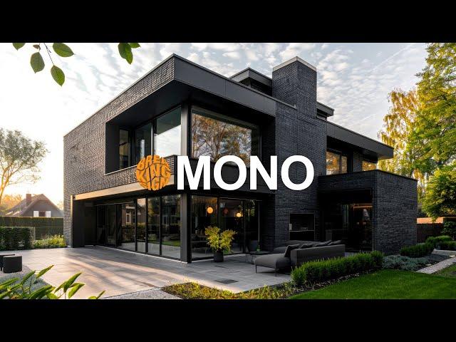 Architectural Harmony: Black House modern Design in Mid-Century Industrial monochromatic masterpiece