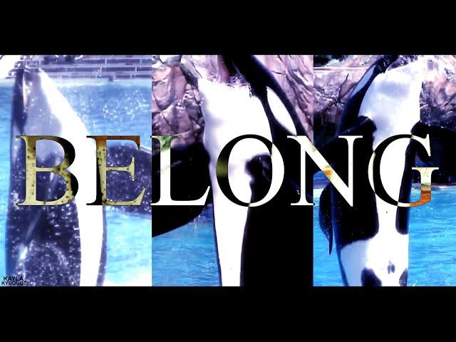 Belong