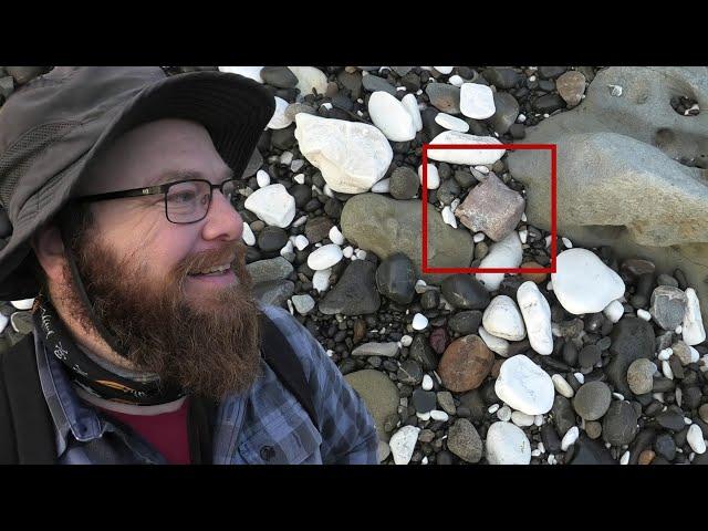 Fossil hunting on the beach: I find some cool treasures washed up on the rocks