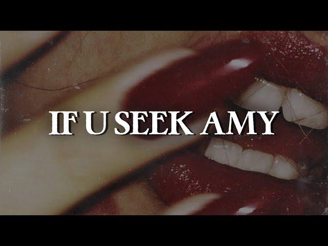 Britney Spears - If U Seek Amy (Lyrics)