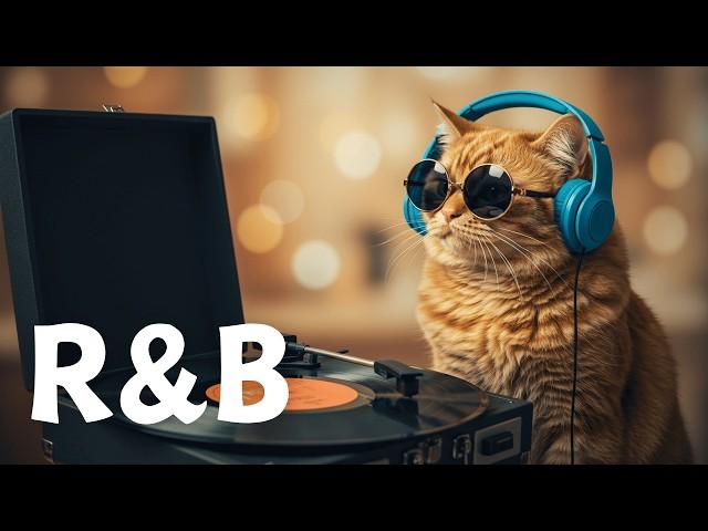 R&B Classics Mix : 90 Minutes of Timeless Love and Soulful Melodies