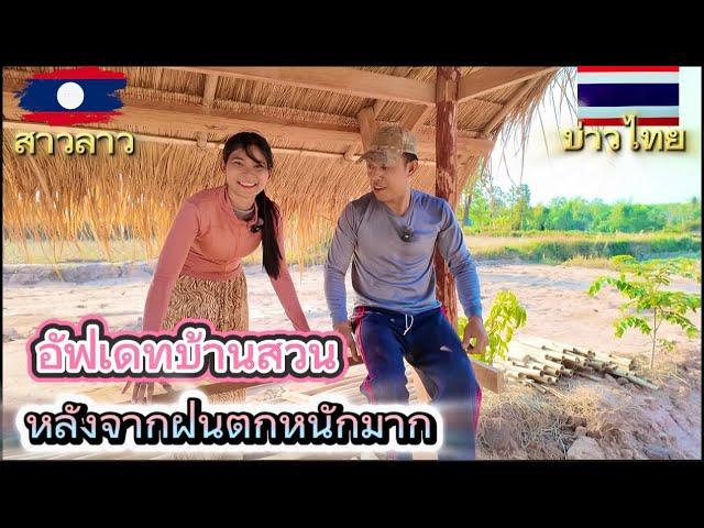 อัพเดทบ้านสวนไทยลาว หลังจากที่ไปลาวฝนตกหนักมากๆ