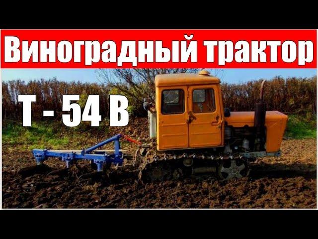 МОЛДАВАН Т-54В: специальный гусеничный трактор Кишинёвского завода