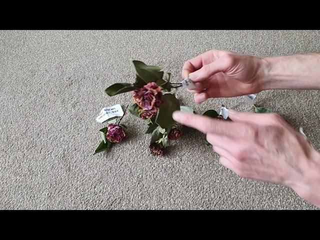 How to make natural confetti