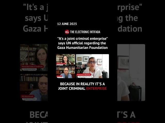"It's a joint criminal enterprise," says UN official regarding the Gaza Humanitarian Foundation