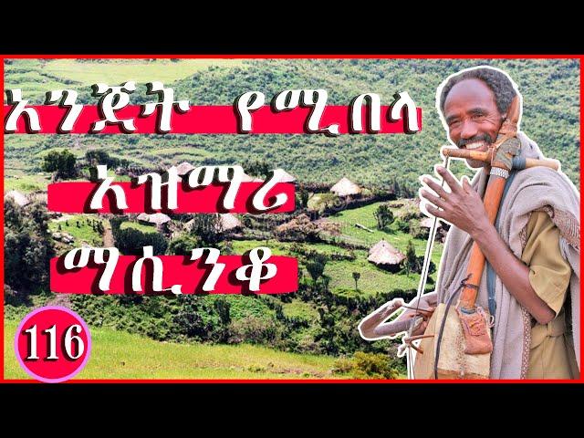 Ethiopia: ምርጥ የአገር ትዝታ አዝማሪ ማሲንቆ - Azmari Masinko | Best Ethiopian Azmari Music Part #  116