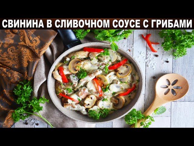 Как приготовить мясо свинины в сливочном соусе с грибами? Вкусно и просто! Свинина в сливочном соусе