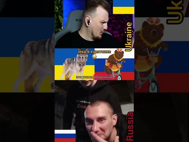 півні у курятнику збунтувалися