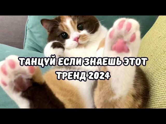 ТАНЦУЙ ЕСЛИ ЗНАЕШЬ ЭТОТ ТРЕНД 2024