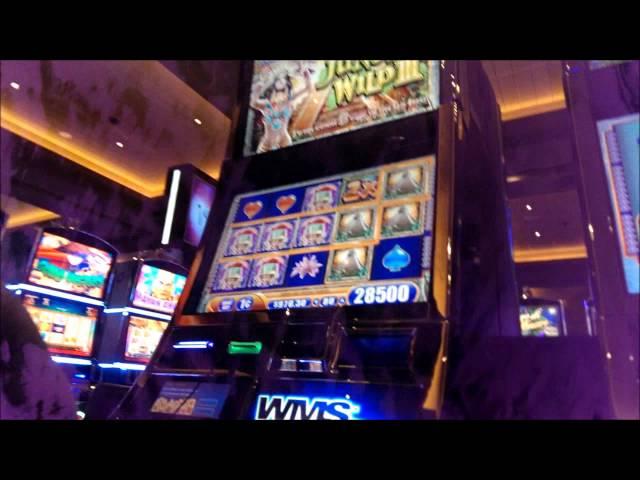 Super/Mega Big Wins WMS - JACKPOT ALERT!