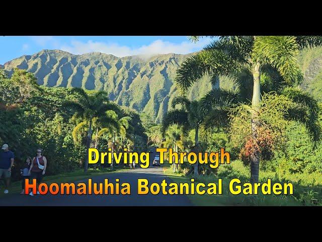 [4K] Driving through Hoomaluhia Botanical Garden in Kaneohe, Oahu, Hawaii