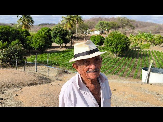 VAMOS CONHECER A AGRICULTURA IRRIGADA NO SERTÃO PERNAMBUCO, VEJA PLANTAÇÃO DE MILHO DE DIASIS MINOR.