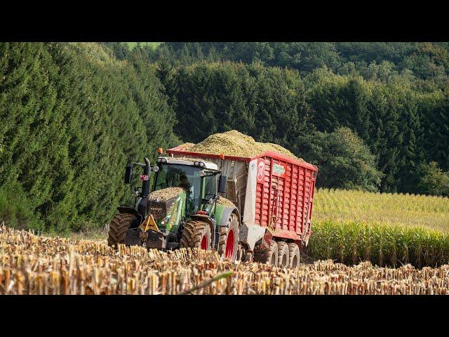 Ardennes - Chopping the Corn silage harvest in the hills / Fendt + John Deere / Taserag