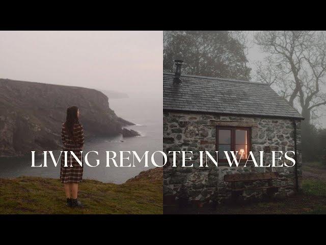 Moving to a remote cottage in Pembrokeshire, Wales - Vlog 3