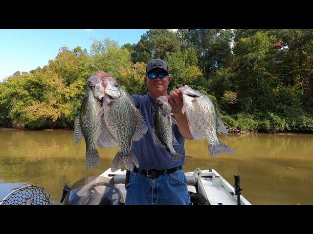 Spring 2024: Master Crappie Fishing with These Tips
