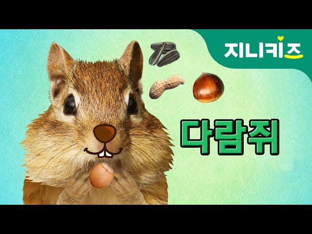 나무타기 선수, 다람쥐(squirrel) | 겨울잠 | 생생자연도감 | 어린이 자연관찰 Kids Science | 과학동화